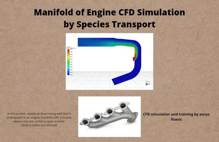 Manifold of Engine CFD Simulation by Species Transport