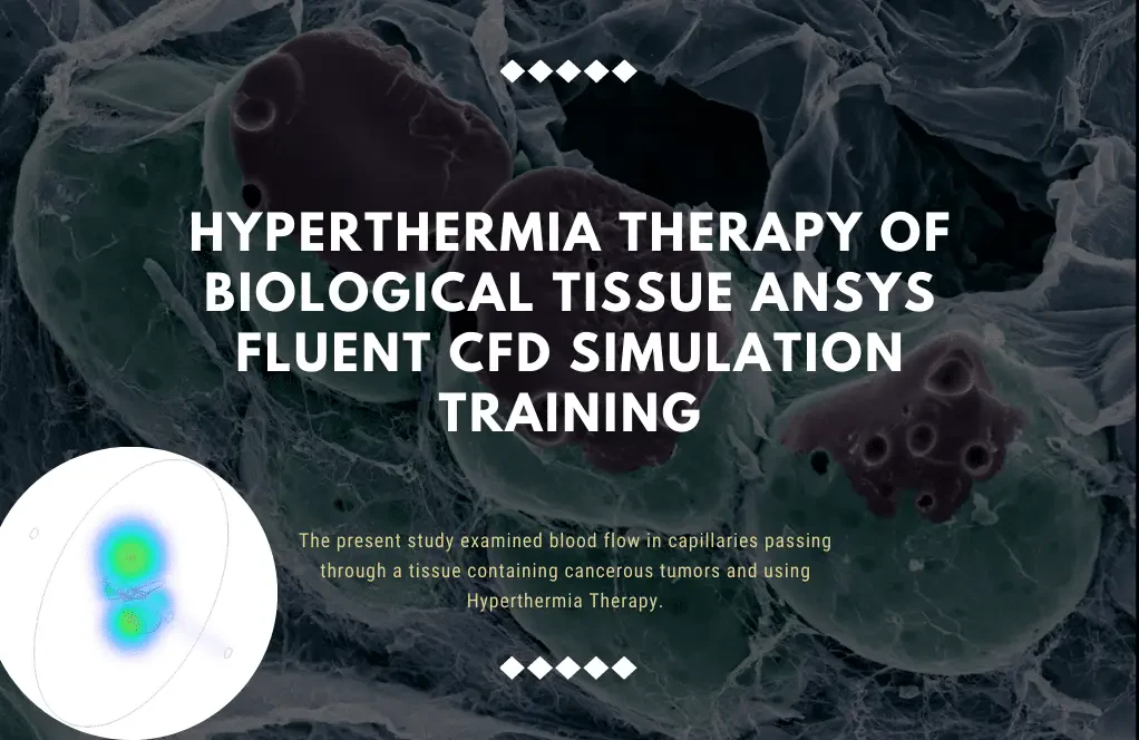 Hyperthermia Therapy of a Cancer Tissue ANSYS Fluent CFD Simulation Training