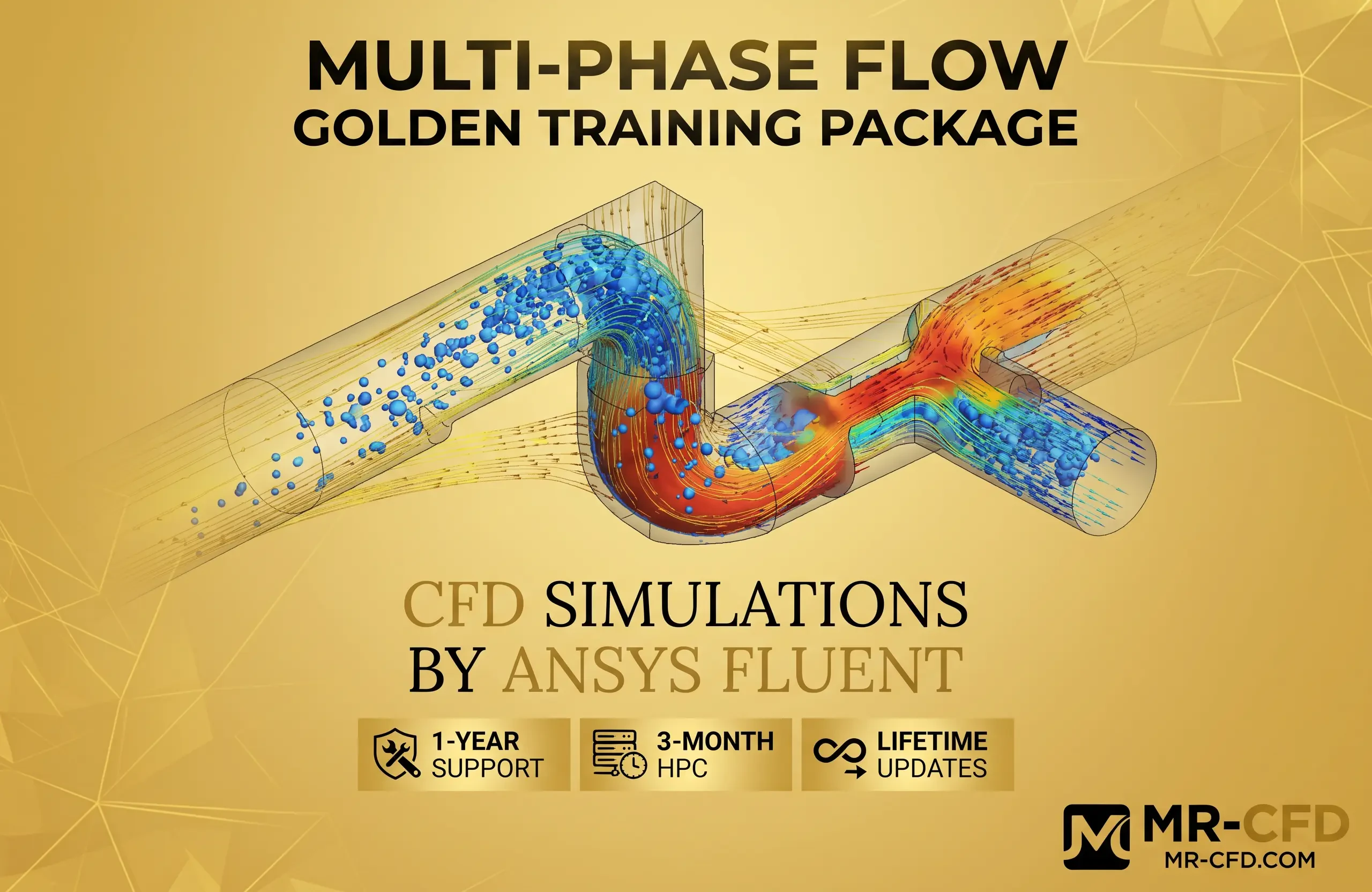 Multi Phase Flow CFD GOLDEN Training Course