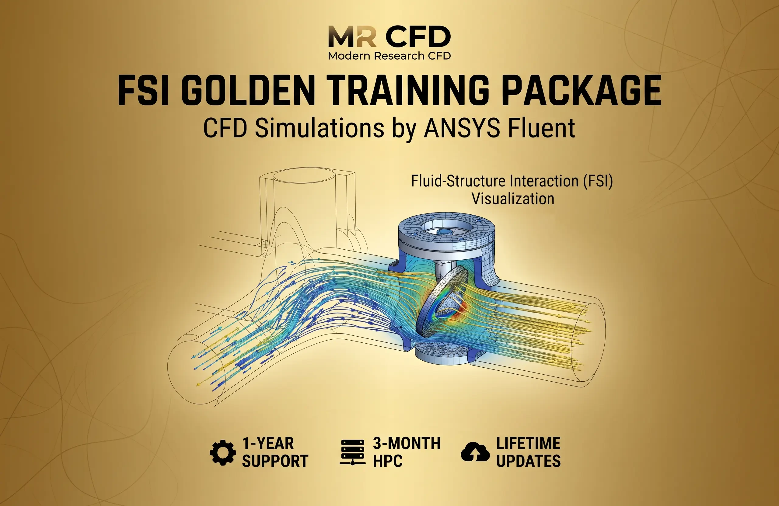 FSI (Fluid-Solid Interaction) GOLDEN Training Course