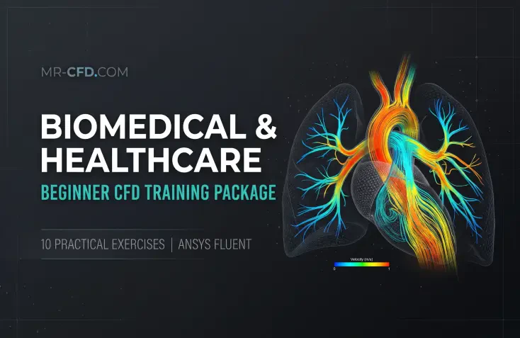 Biomedical & Healthcare: Beginner CFD Training Package