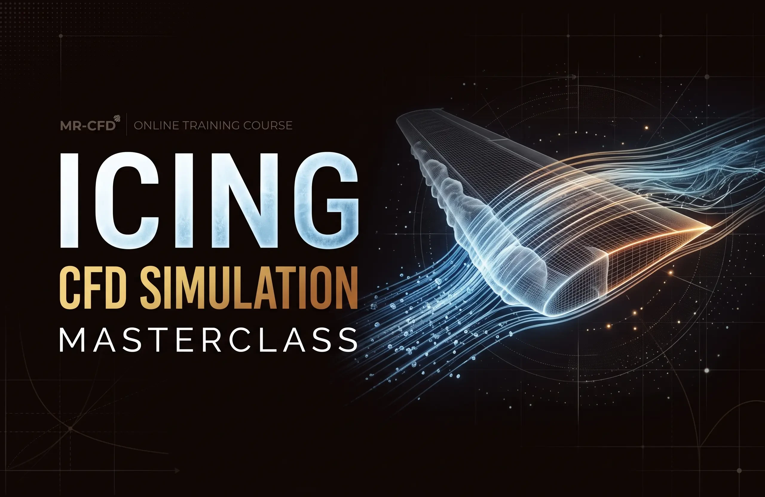 Icing: CFD Simulation Masterclass