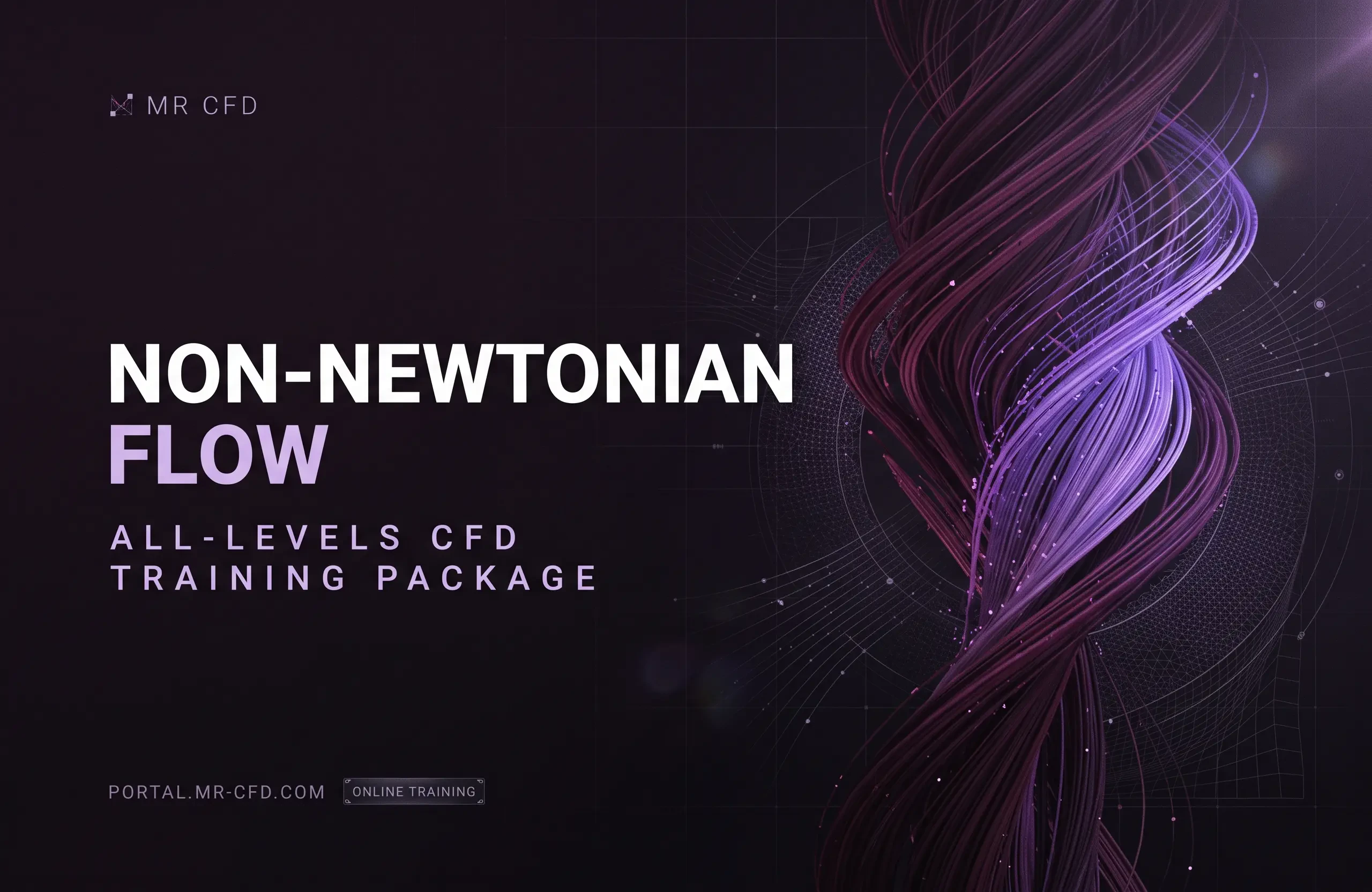 Non-Newtonian Flow: All Levels CFD Training Package