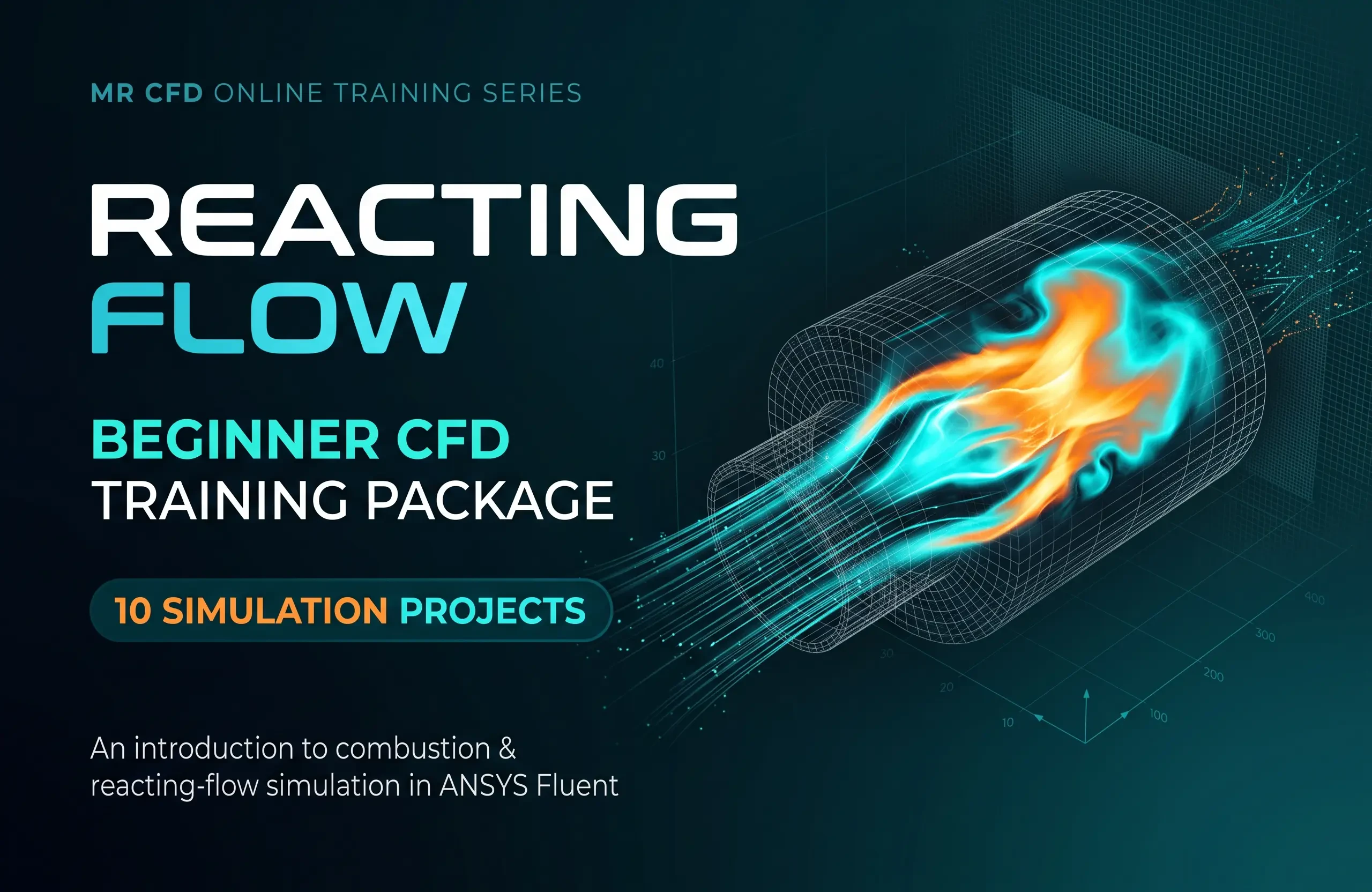Reacting Flow: Beginner CFD Training Package