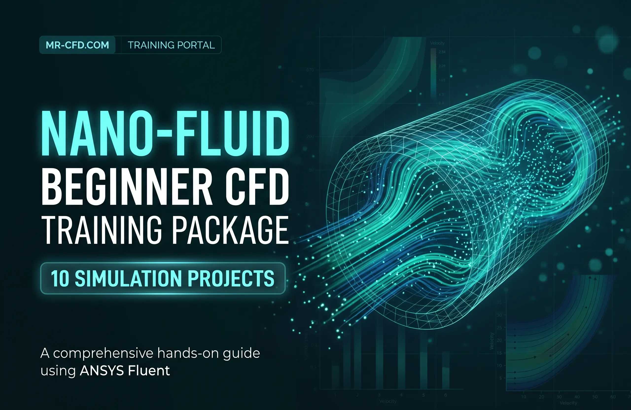 Nano Fluid: Beginner CFD Training Package