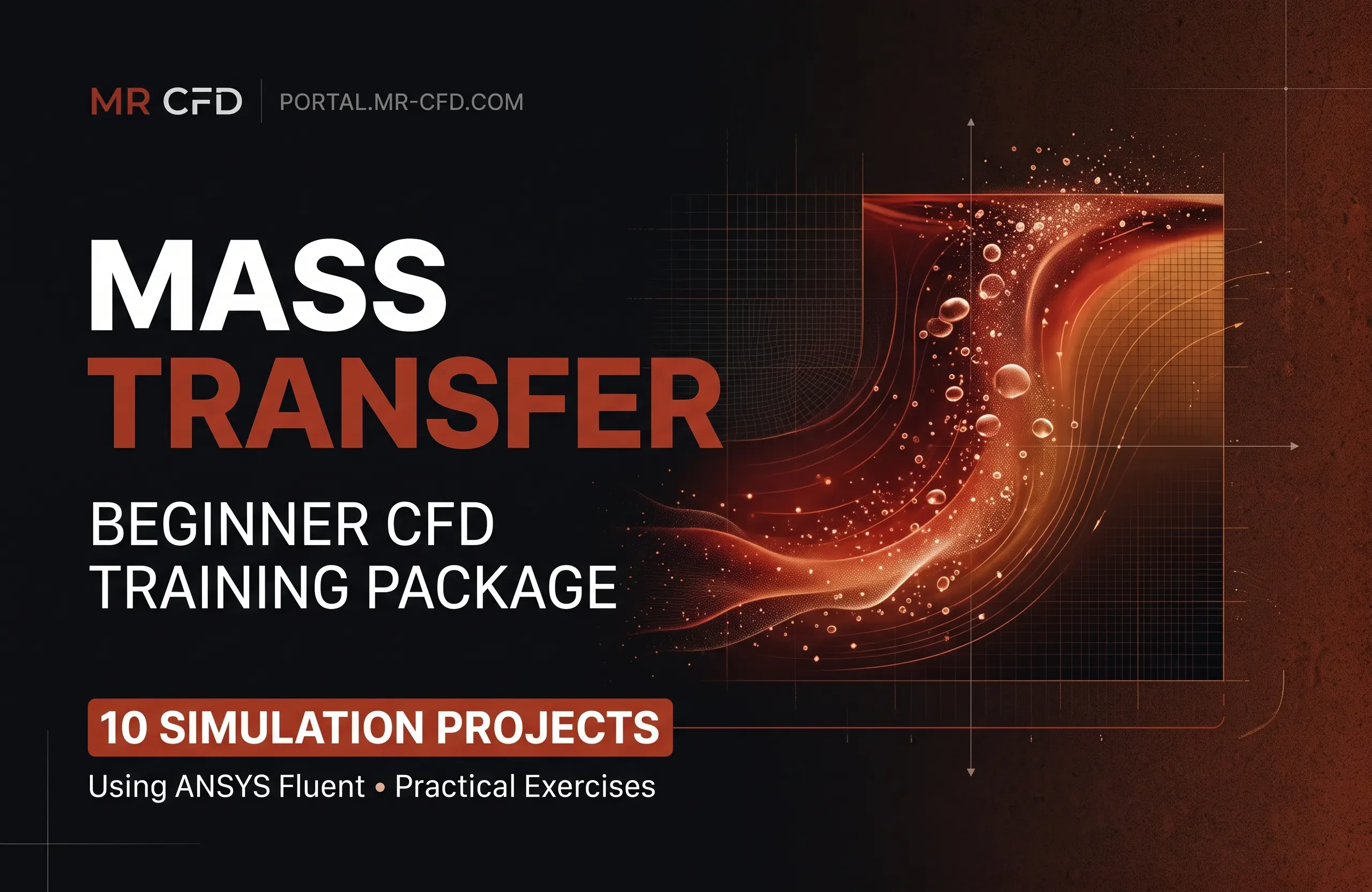 Mass Transfer: Beginner CFD Training Package