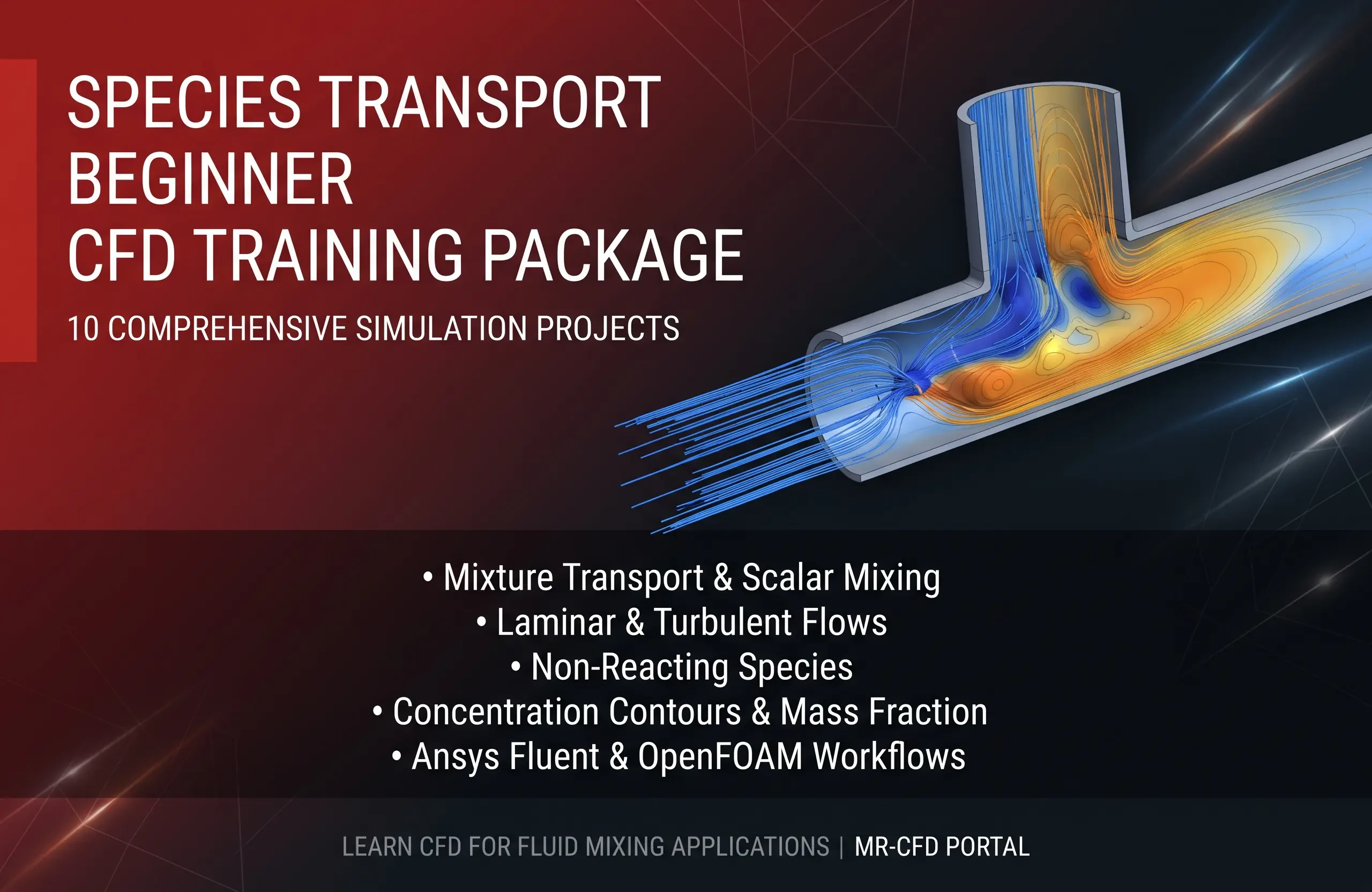 Species Transport: Beginner CFD Training Package