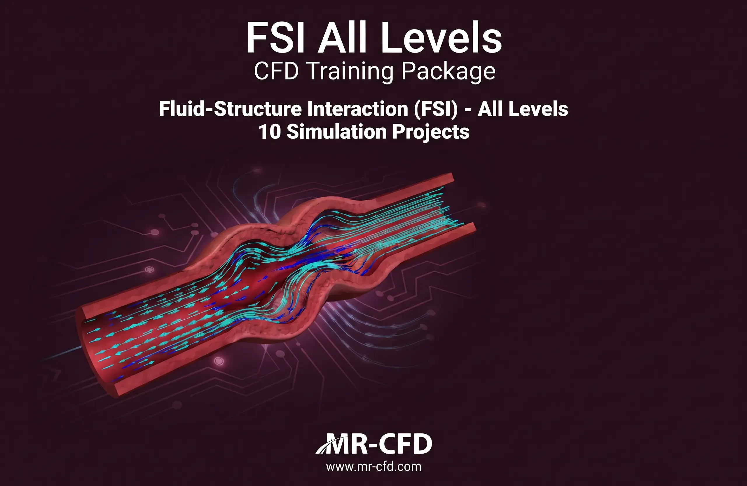FSI: All Levels CFD Training Package
