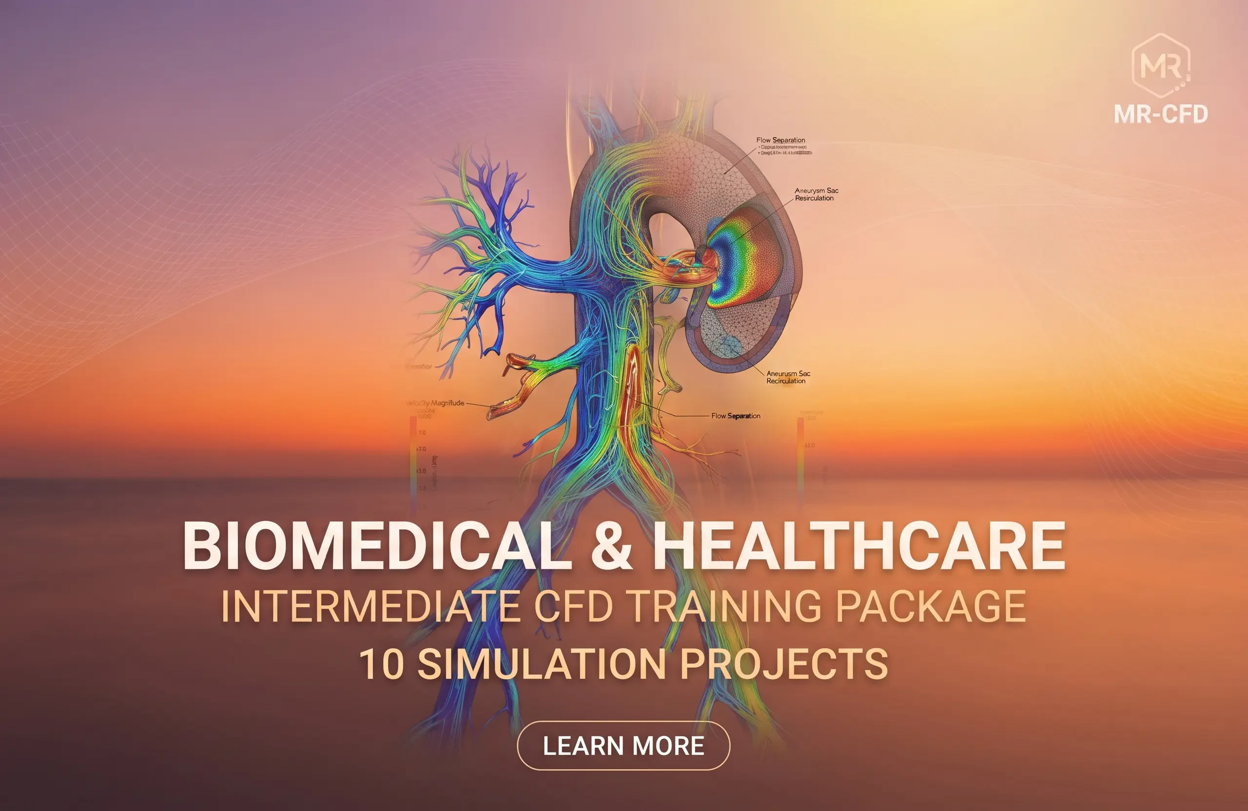 Biomedical & Healthcare: Intermediate CFD Training Package