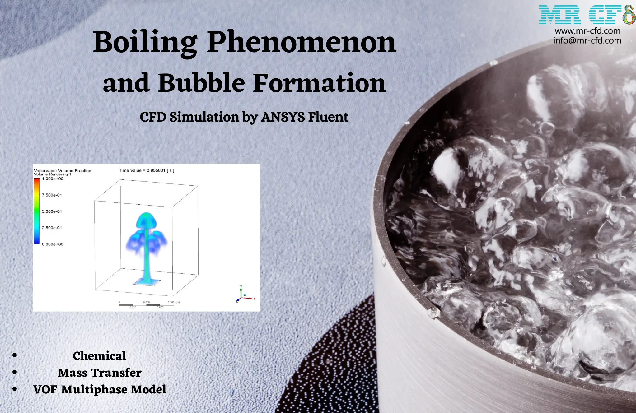 Boiling Phenomenon and Bubble Formation CFD Tutorial