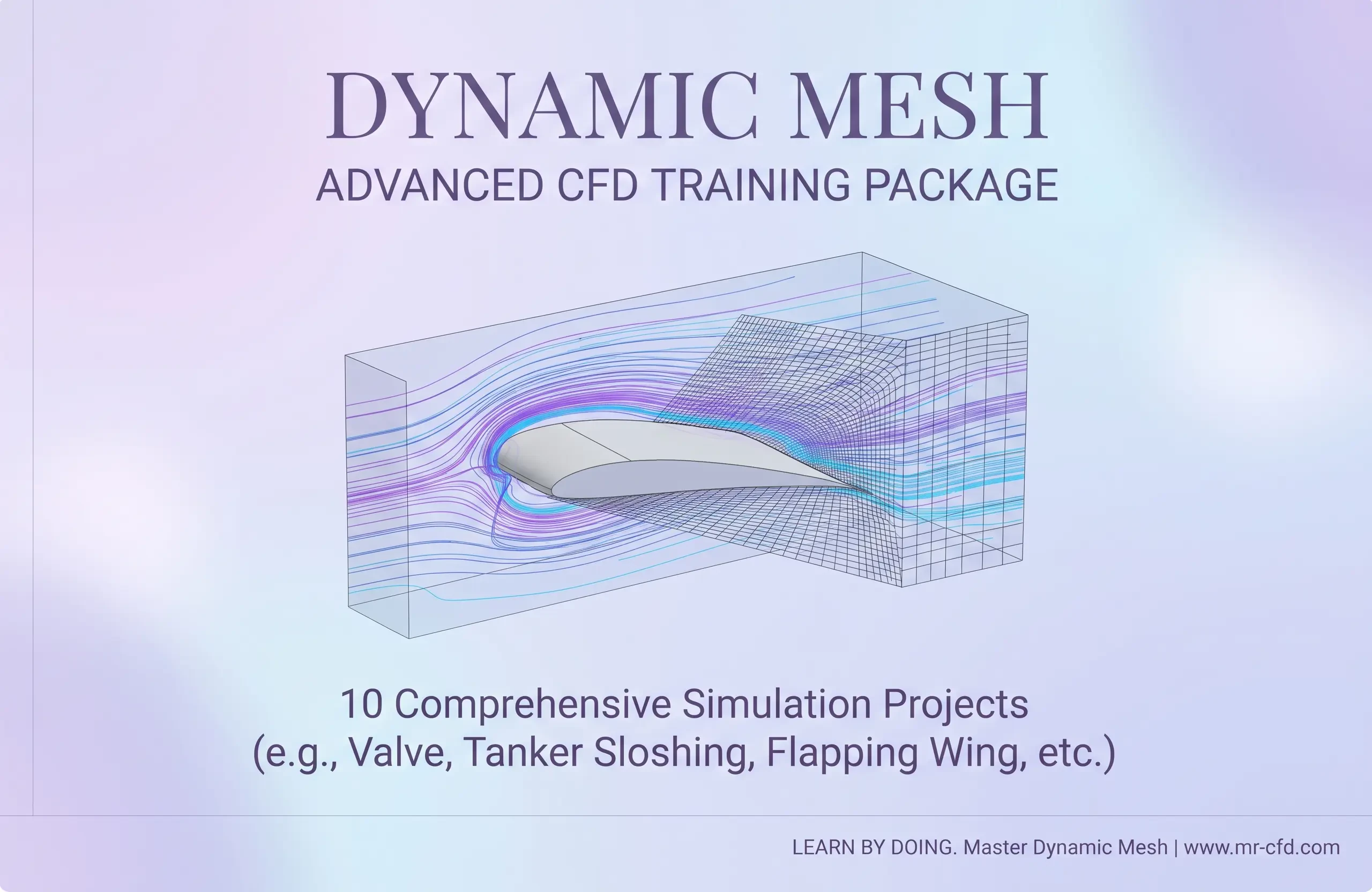 Dynamic Mesh: Advanced CFD Training Package