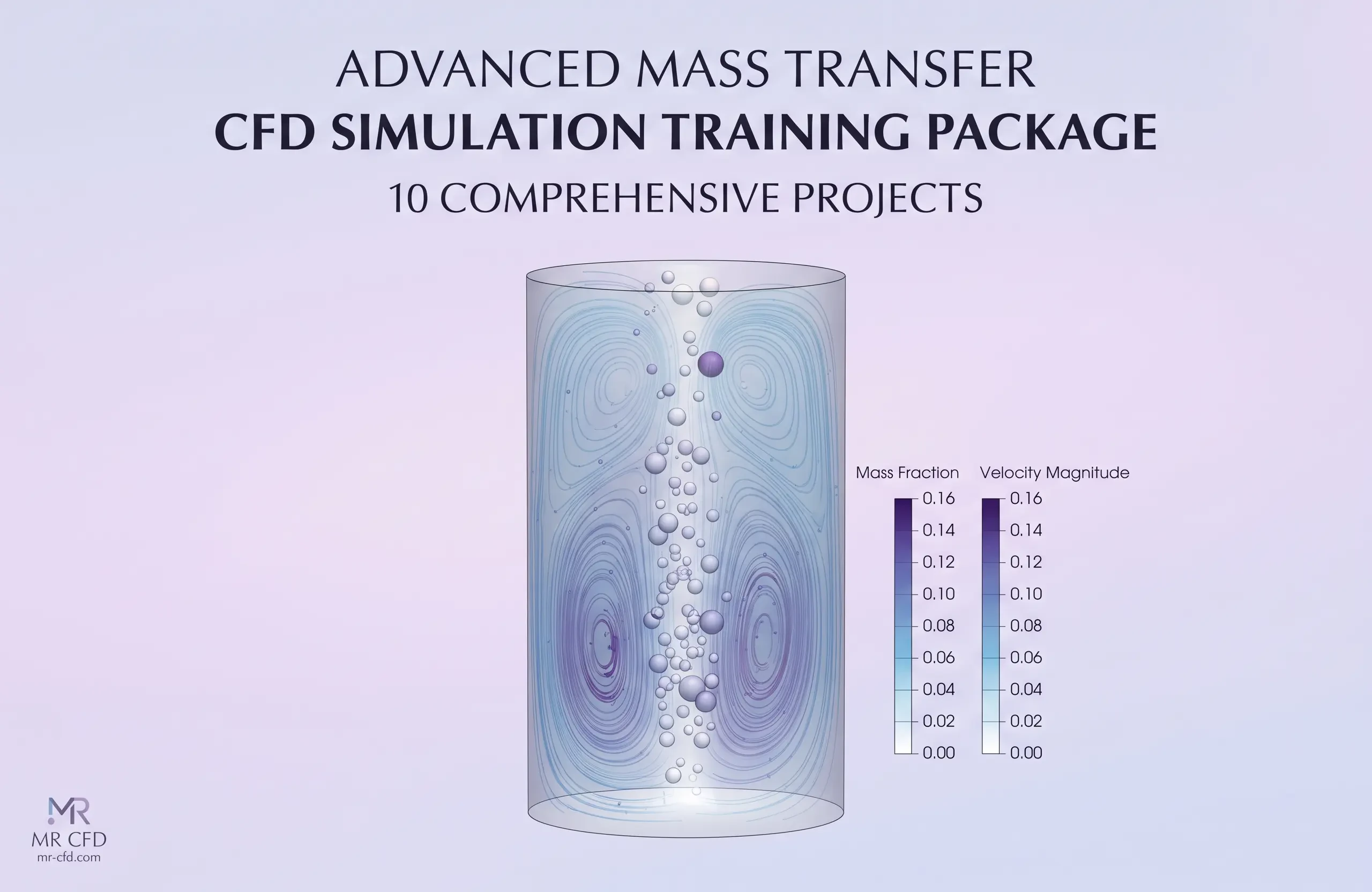 Mass Transfer: Advanced CFD Training Package