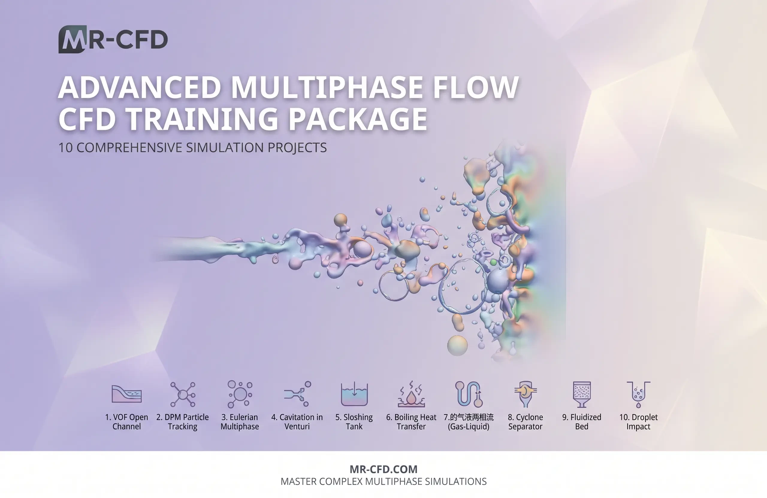 Multiphase Flow: Advanced CFD Training Package