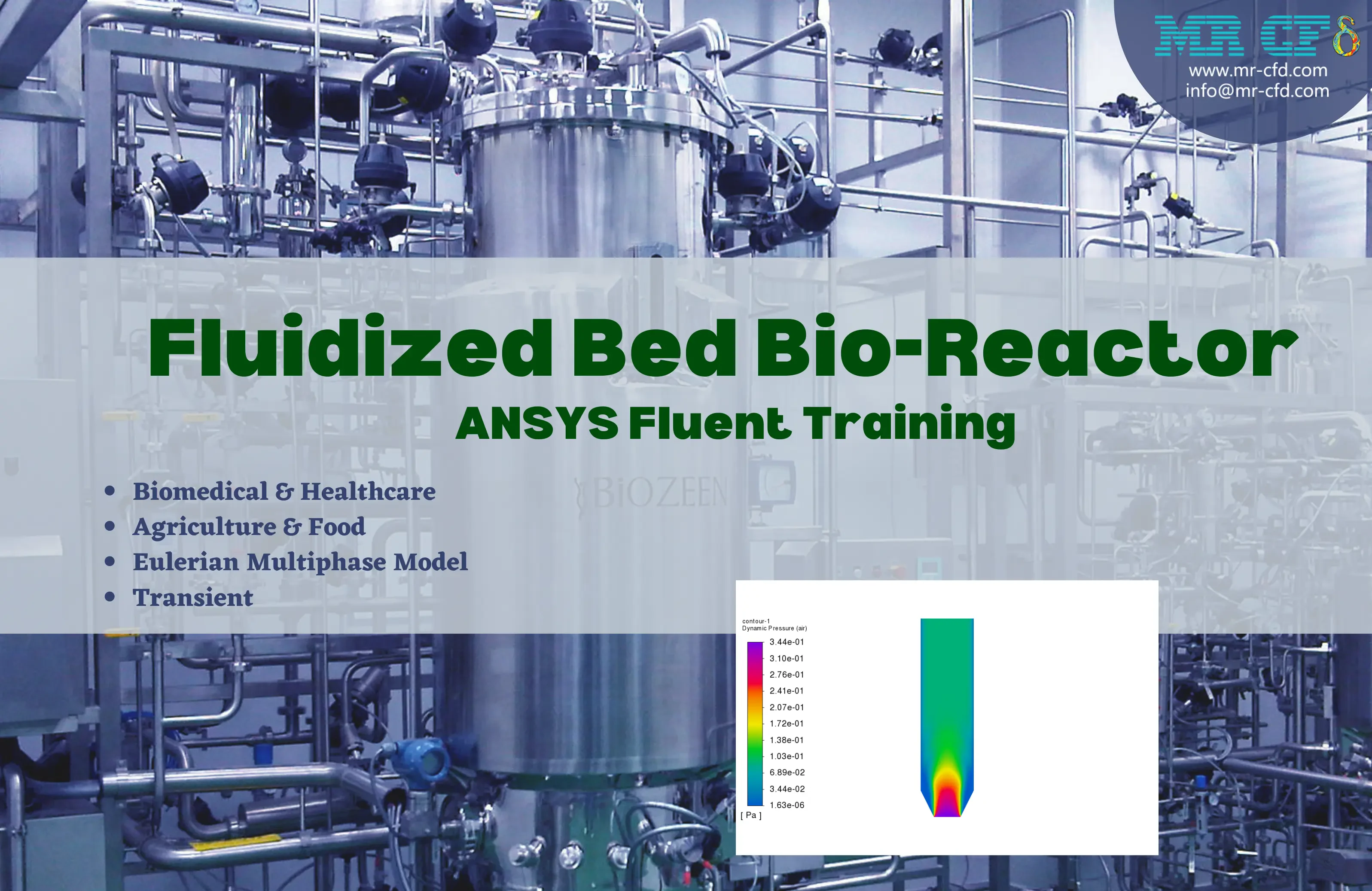 Fluidized Bed Bio-Reactor ANSYS Fluent Training
