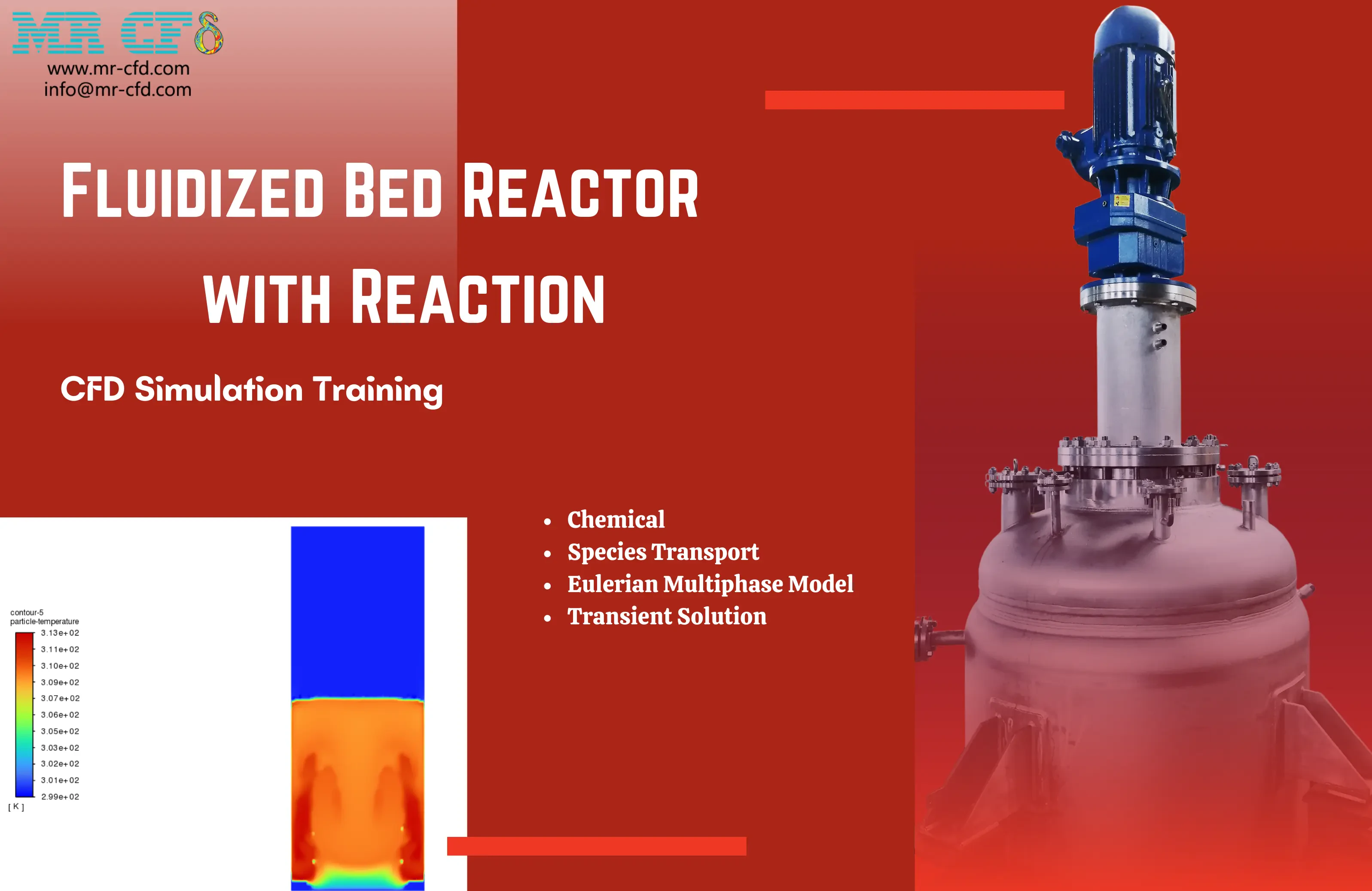 Fluidized Bed Reactor with Reaction CFD Simulation Training