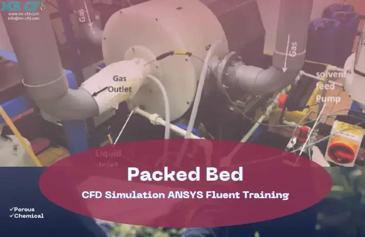 Packed Bed CFD Simulation by ANSYS Fluent, Training