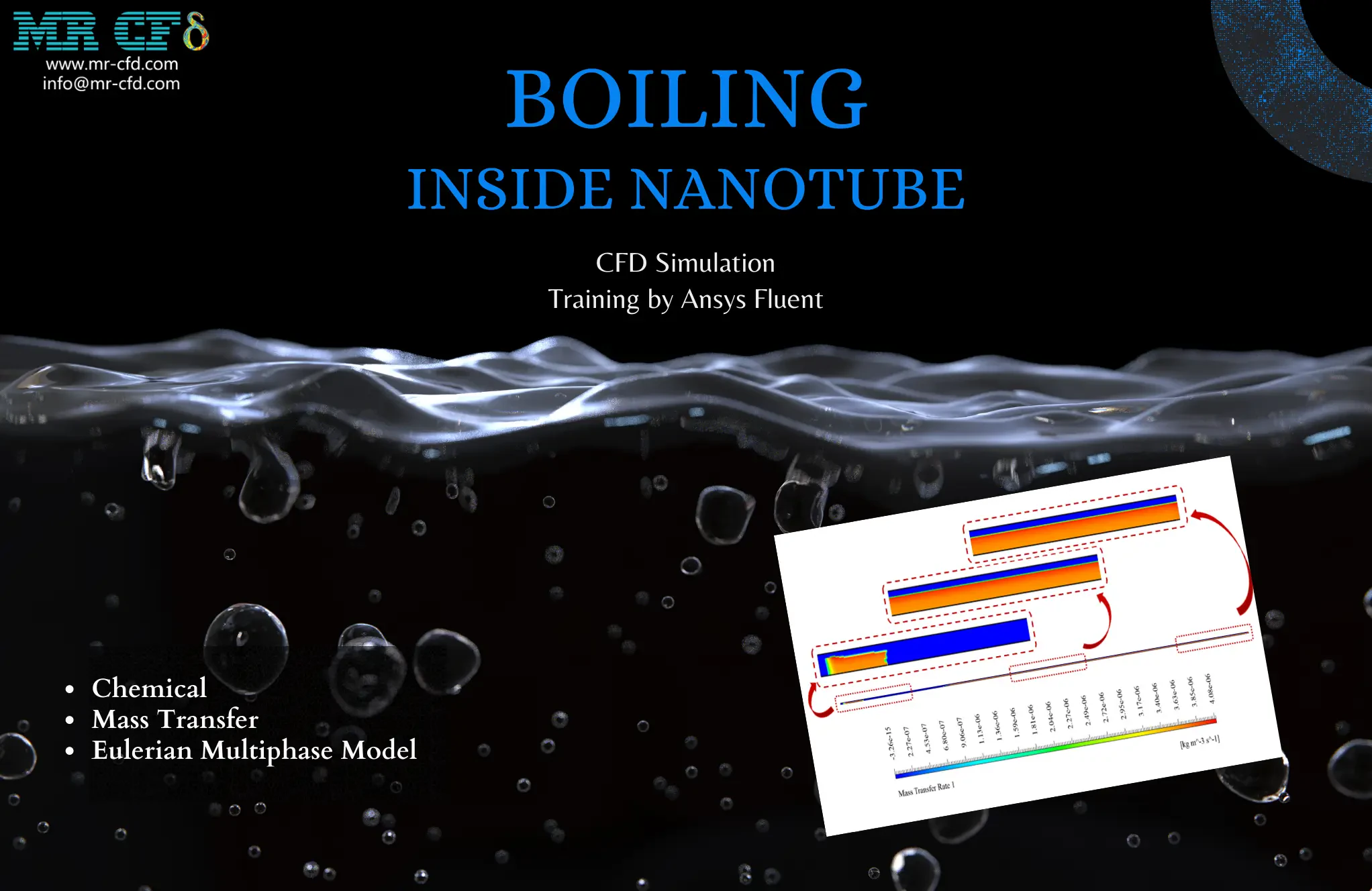 Boiling inside a Nanotube CFD Simulation Training