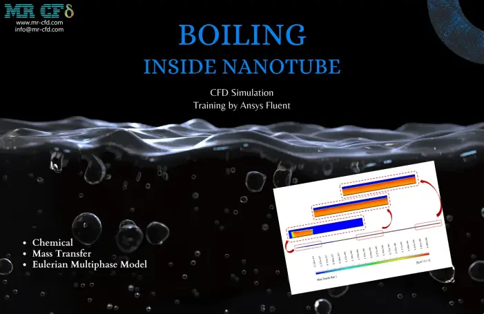 Boiling inside a Nanotube CFD Simulation Training