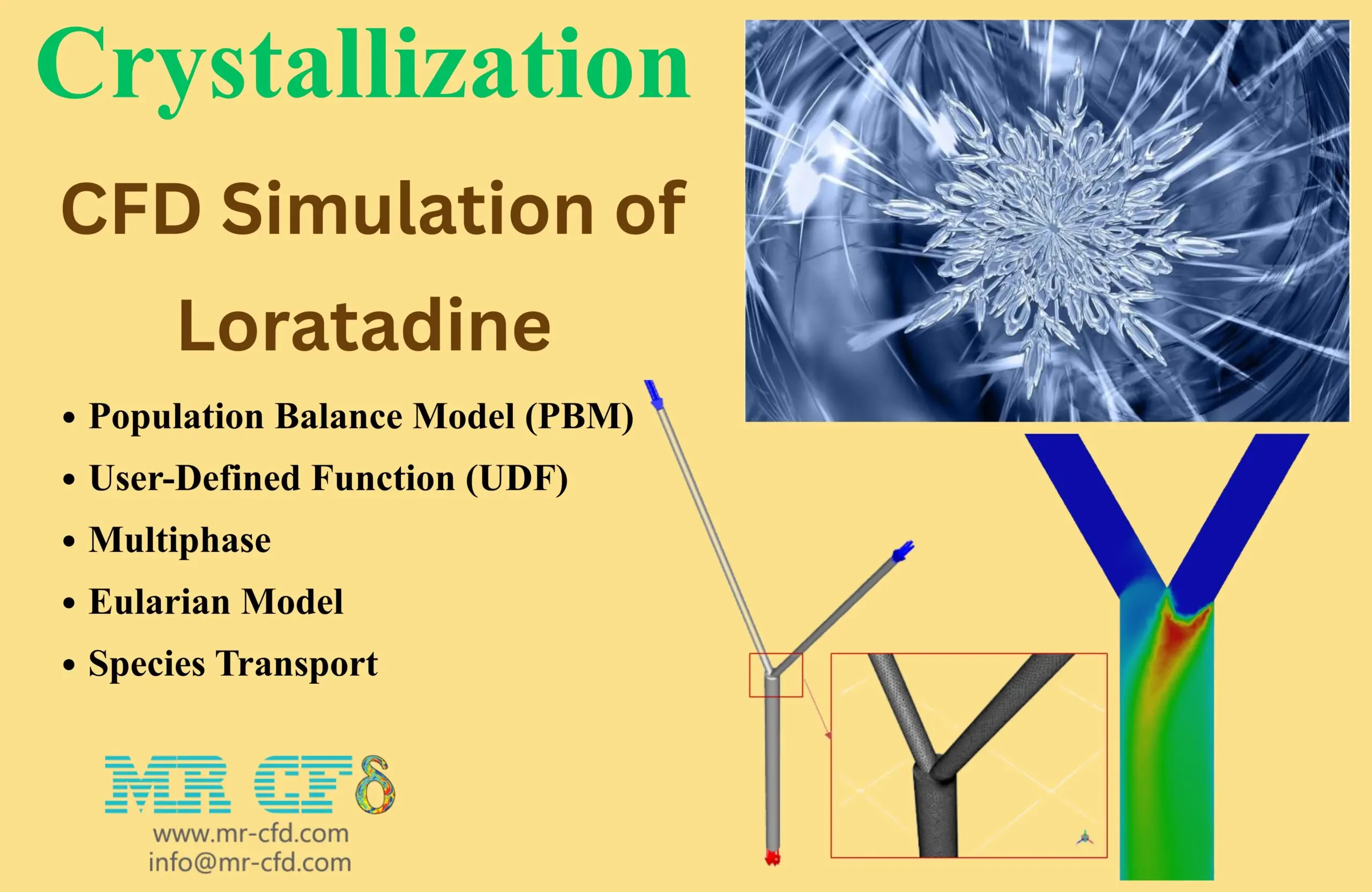 Crystallization CFD Simulation of Loratadine Using the PBM in ANSYS Fluent