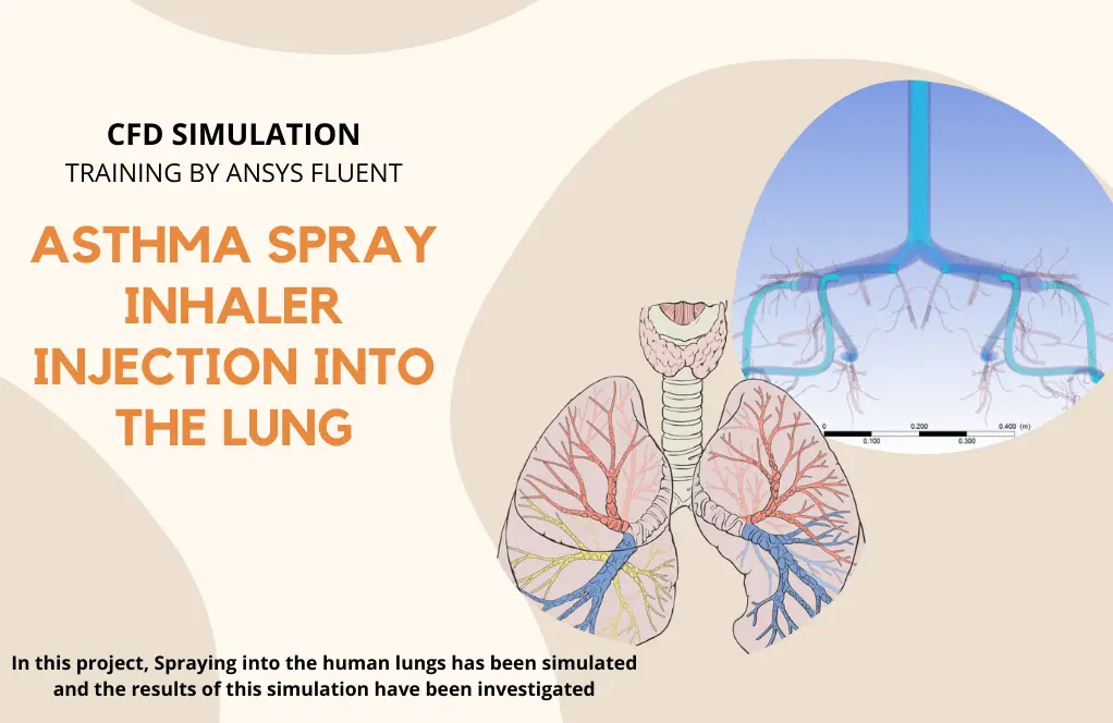 Asthma Spray Inhaler Injection into the Lung, Ansys Fluent Training