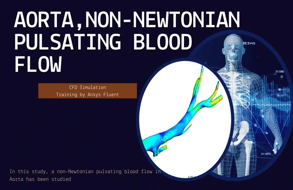 Aorta, Non-Newtonian pulsating blood flow