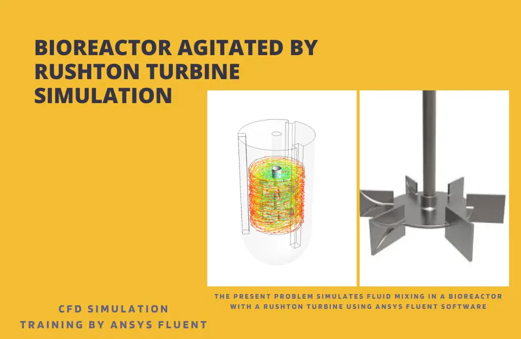 Bioreactor Agitated by Rushton Turbine CFD Simulation